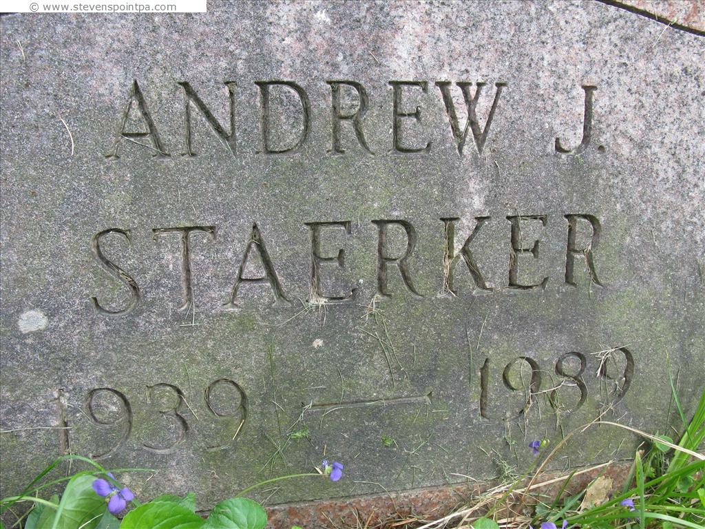 Lanesboro Cemetery Section 2